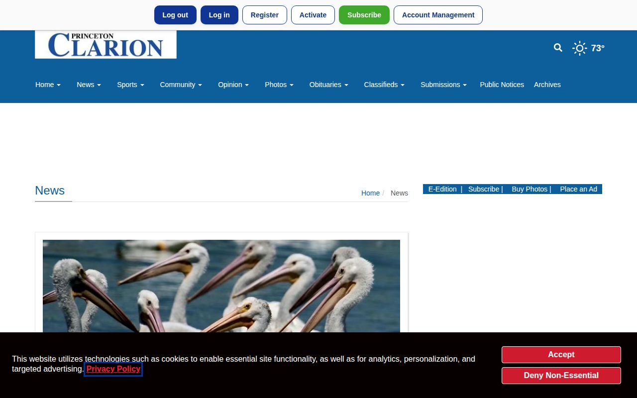 Princeton Clarion news page with Gibson County reporting